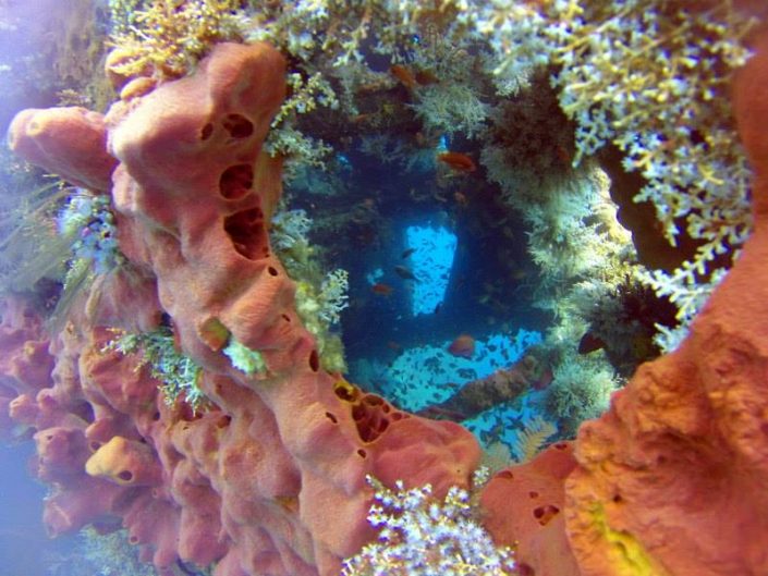 Tulamben Diving with Ecodive Bali - US Liberty Ship Wreck - Tulamben